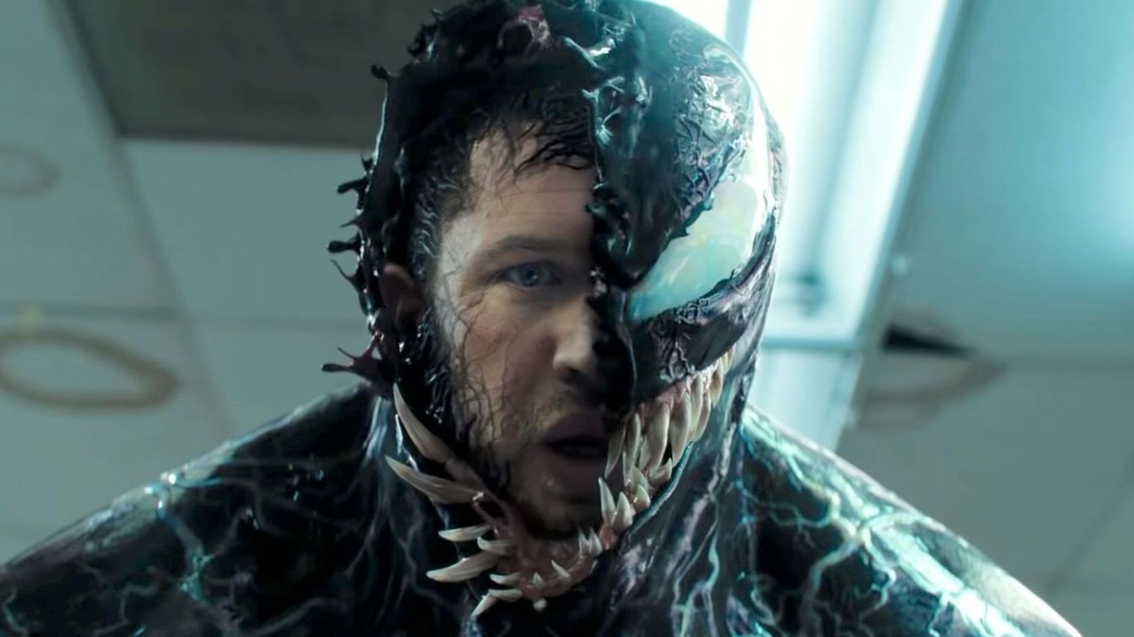 venom 3 release date